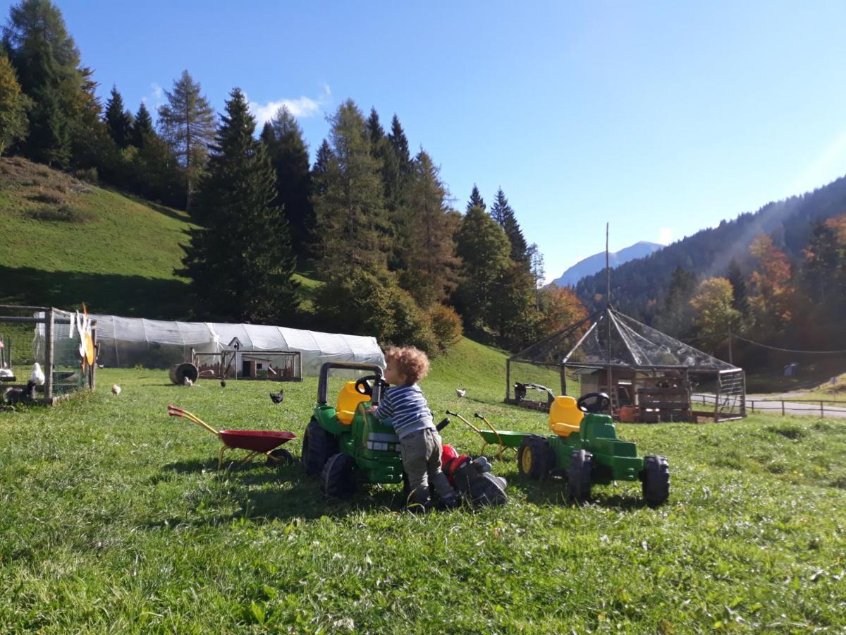 Agritur Broch Villa Fiera Di Primiero Eksteriør bilde