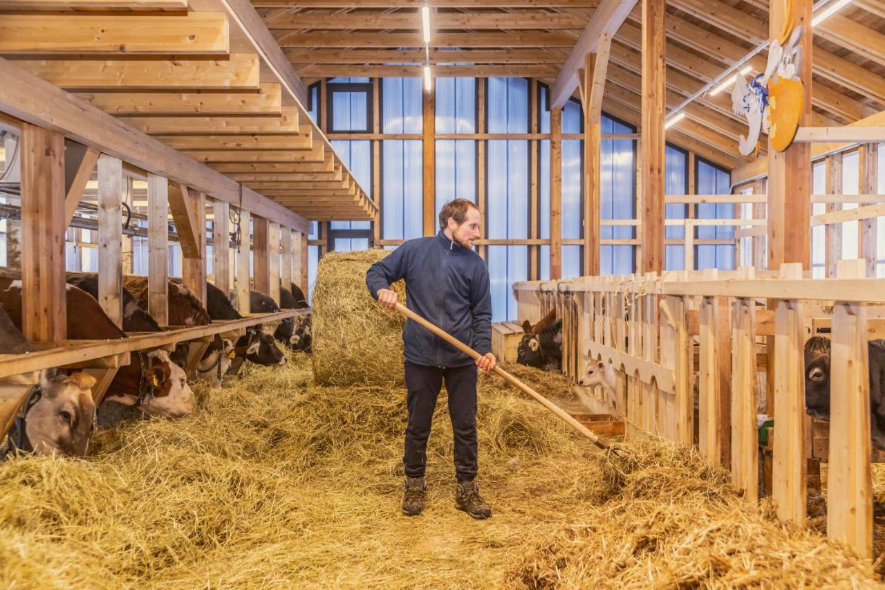 Agritur Broch Villa Fiera Di Primiero Eksteriør bilde